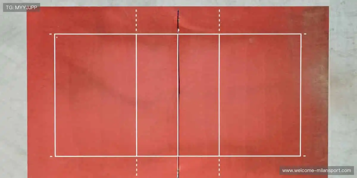 冠军同款,即刻拥有!🏅👕 体育周边,让你离偶像更近一步!